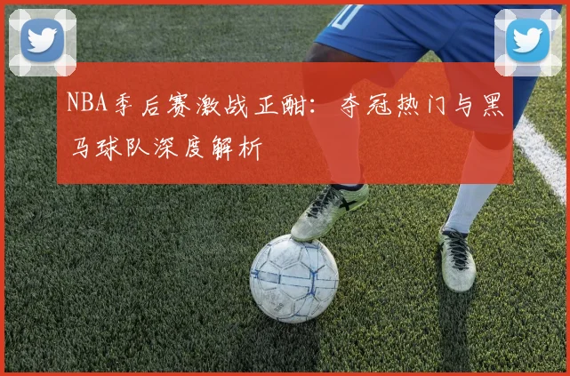 NBA季后赛激战正酣：夺冠热门与黑马球队深度解析