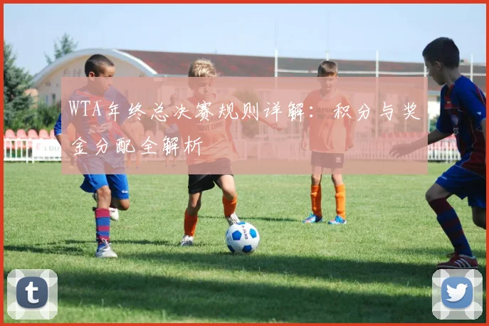 WTA年终总决赛规则详解：积分与奖金分配全解析