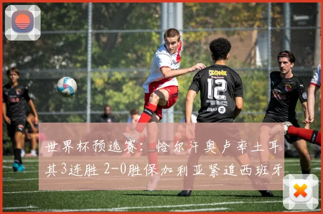 世界杯预选赛:恰尔汗奥卢率土耳其3连胜 2-0胜保加利亚紧追西班牙