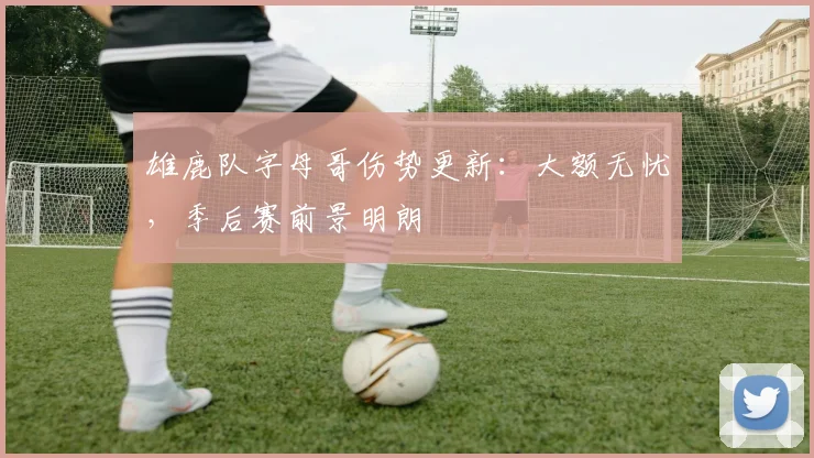 雄鹿队字母哥伤势更新:大额无忧,季后赛前景明朗