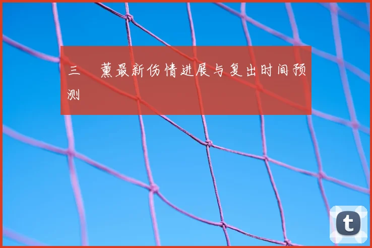 三笘薰最新伤情进展与复出时间预测